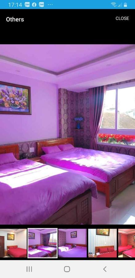 My Dream Hostel Dalat Exterior foto